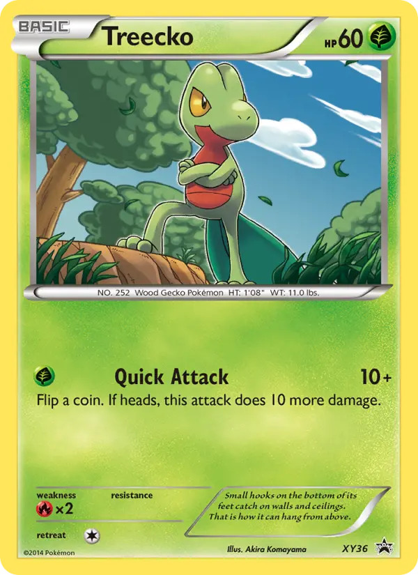Treecko XY36 card from XY Black Star Promos